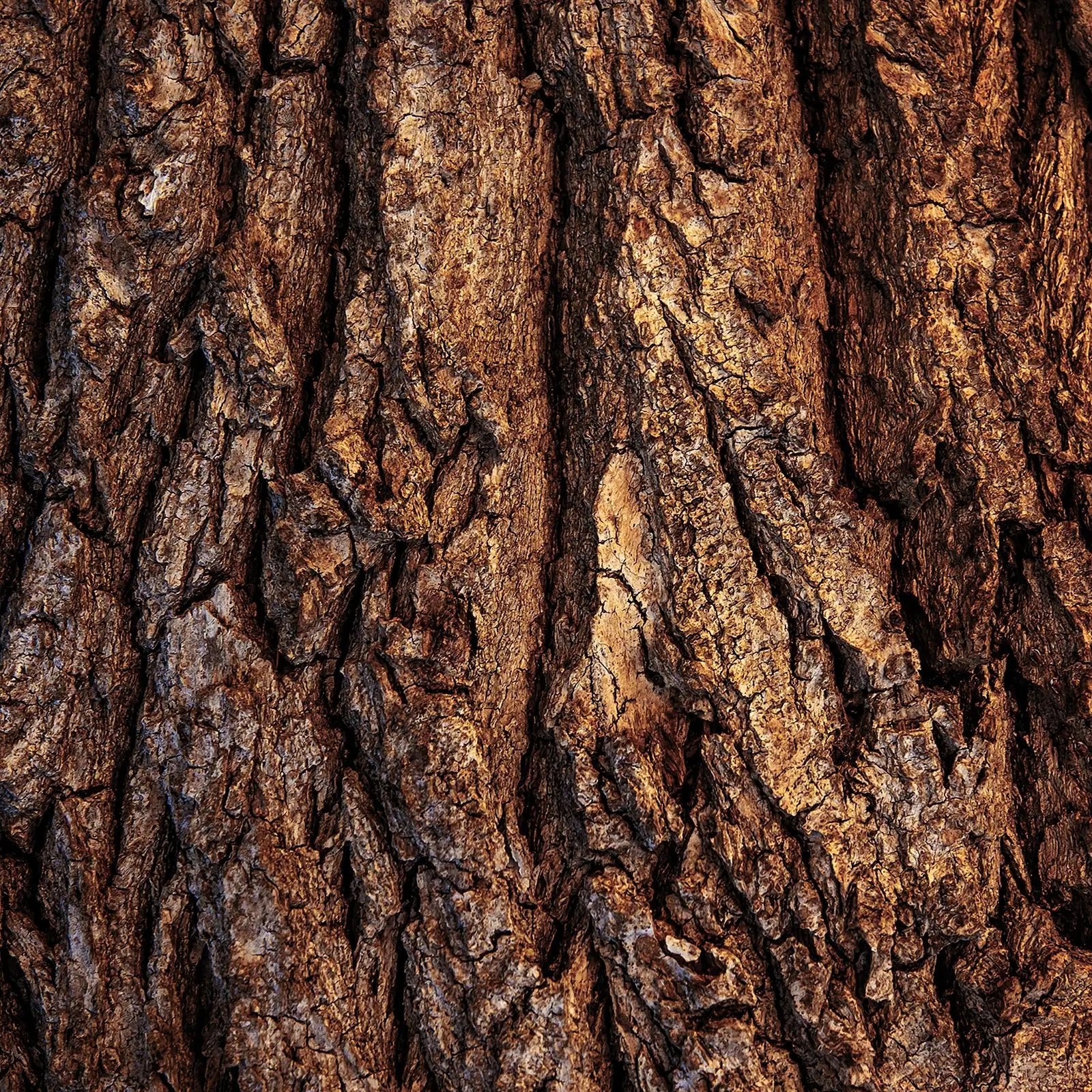 Crème Mains Nourrissante - Image 7