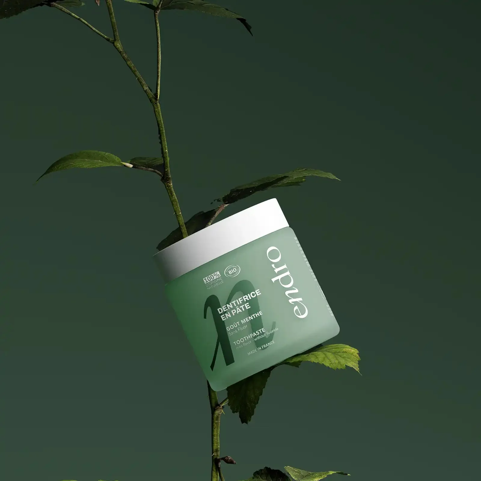 Dentifrice En Pâte - Goût Menthe - Image 3