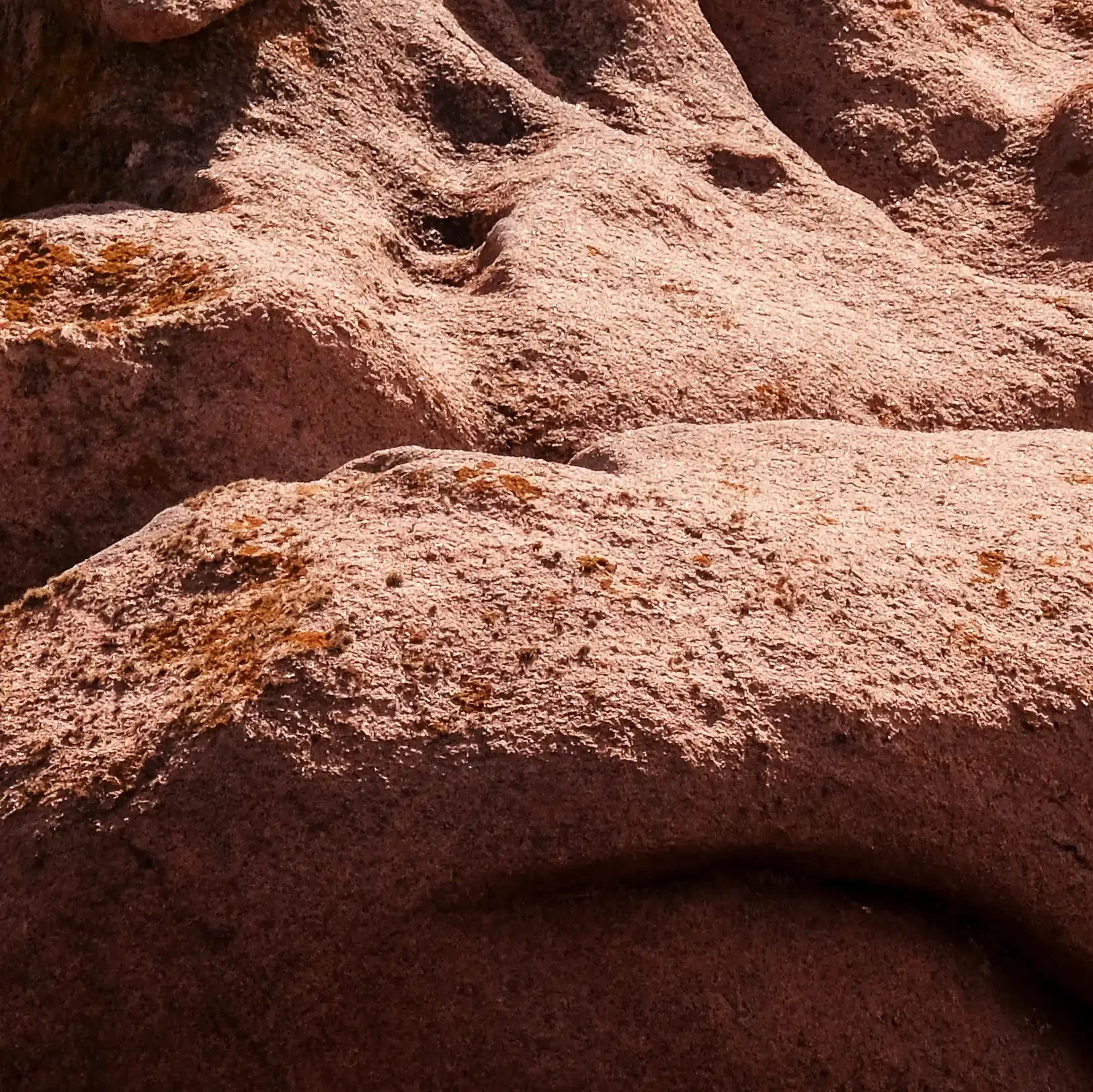 Huile Lactée Démaquillante - Image 7