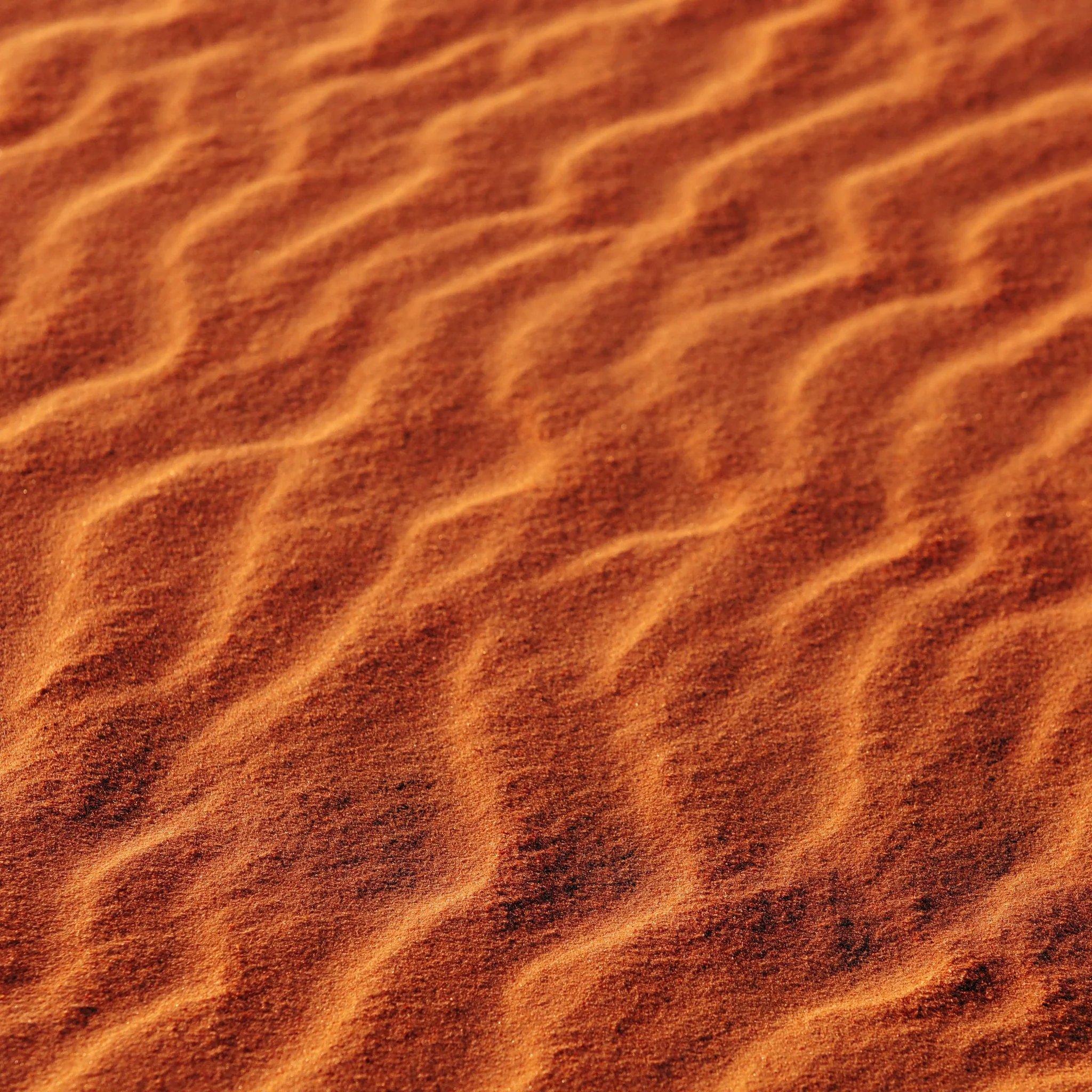 Huile Sèche Sublimante - Image 7