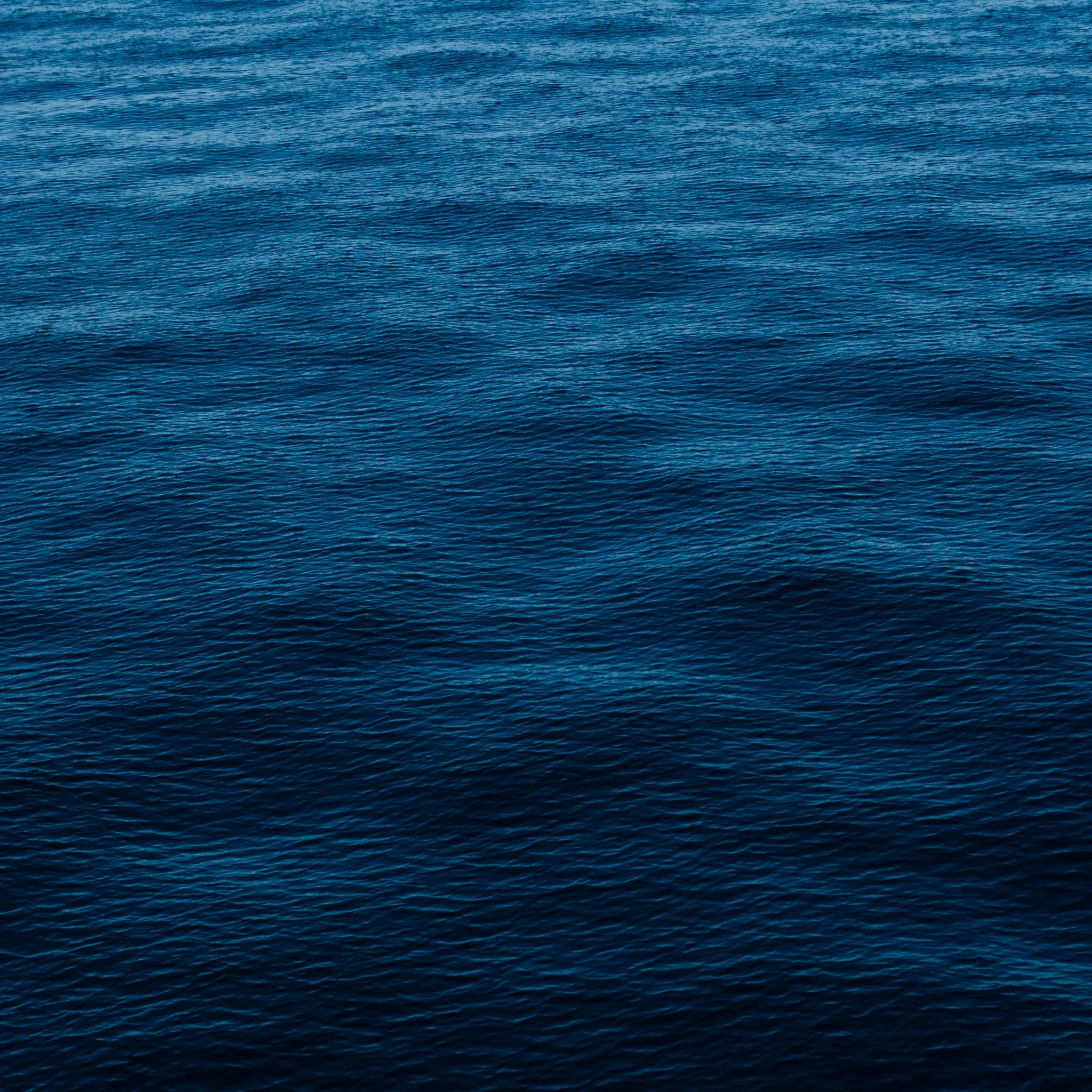 Shampoing Solide - Cheveux Normaux - Image 3