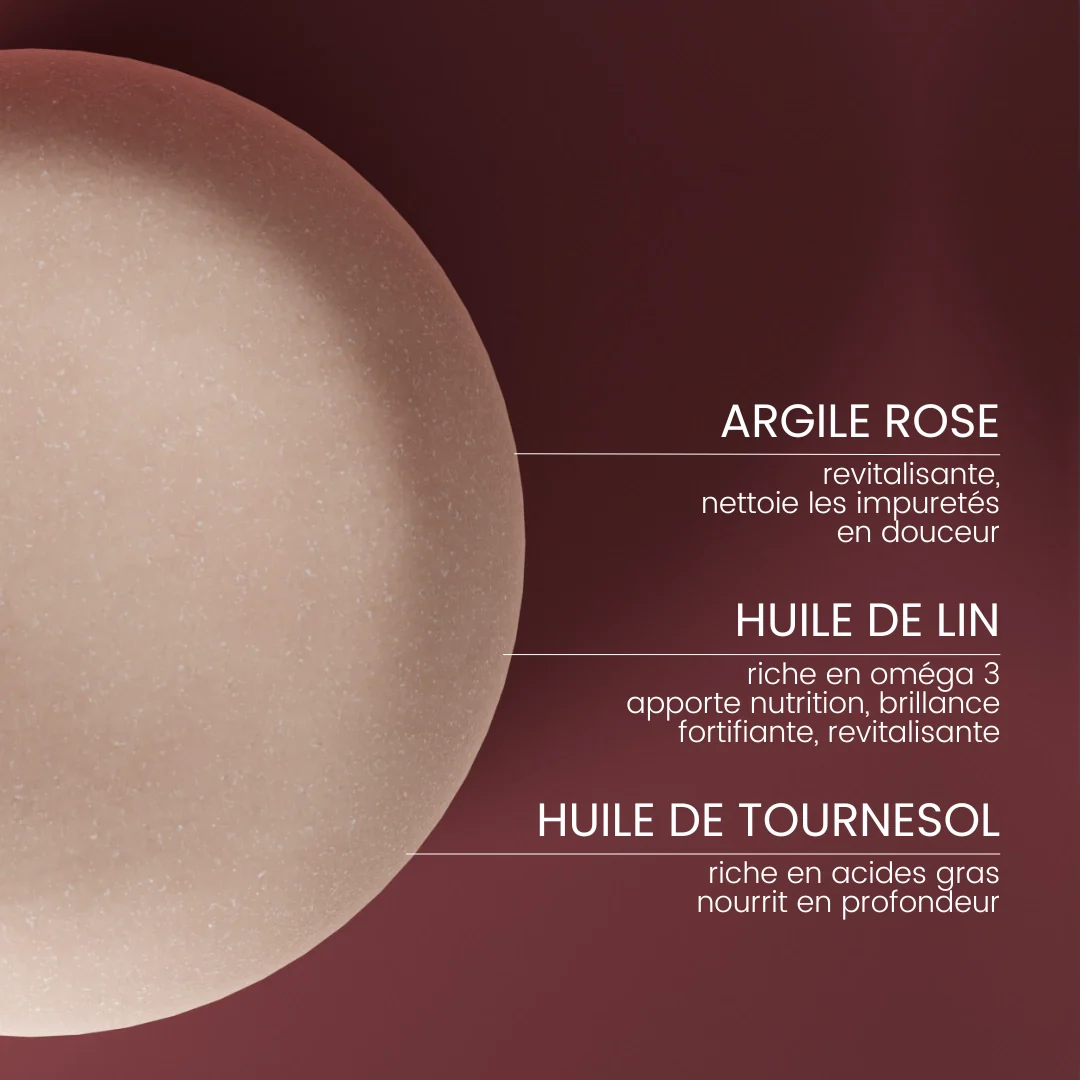 Shampoing solide - Cheveux Secs - Image 3